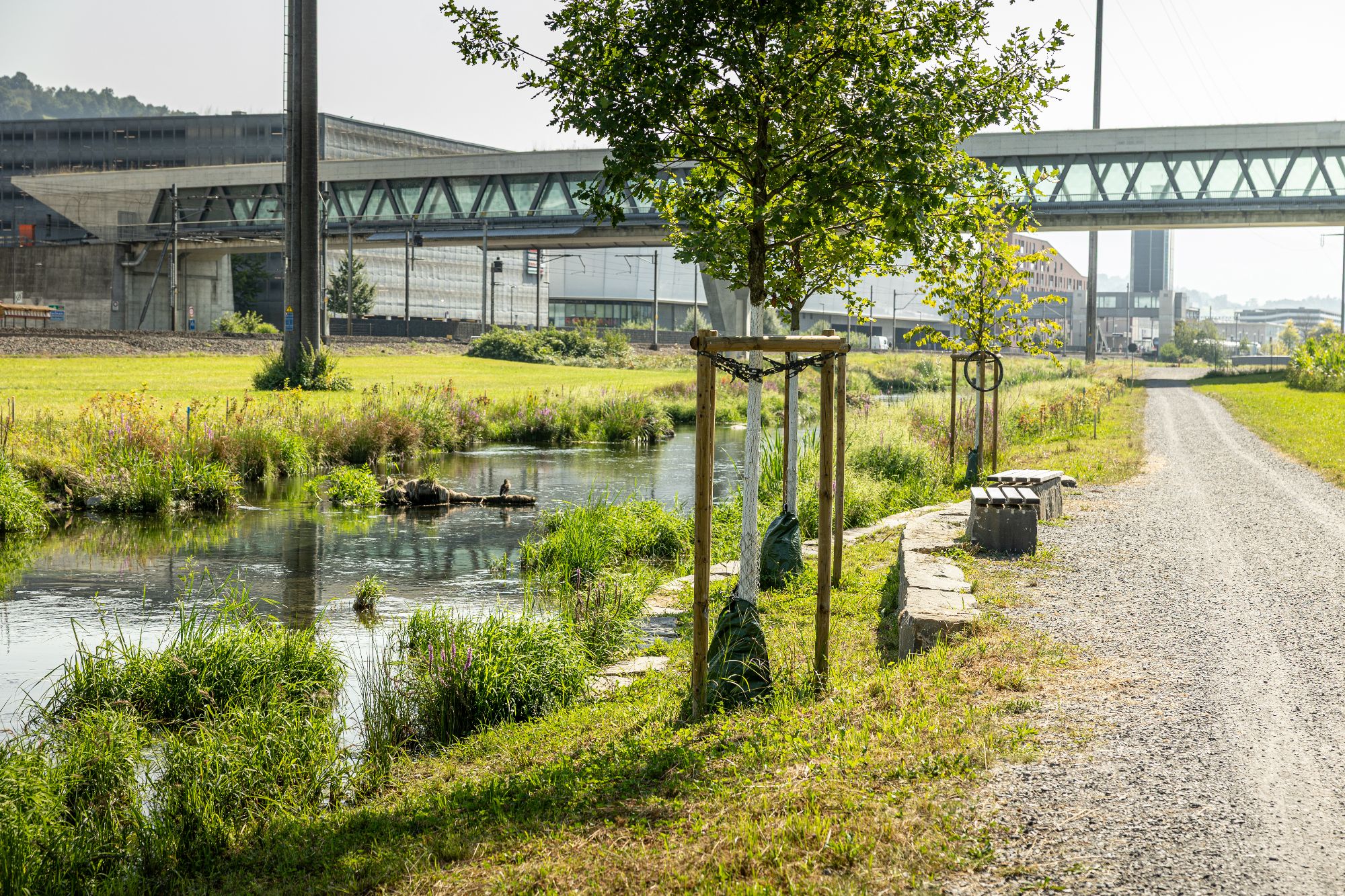 Rontal neu entdecken – auf dem Rontaler Rundweg