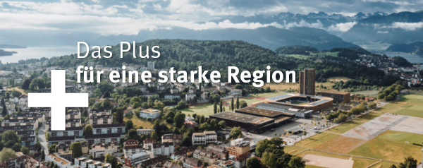 newsletter_600px_SommerAllmendLuzern.png
