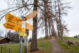 Imagebild LuzernPlus 1749 (2020).jpg