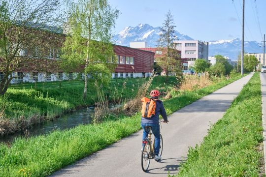 LuzernOst_Gleisweg_1.jpg