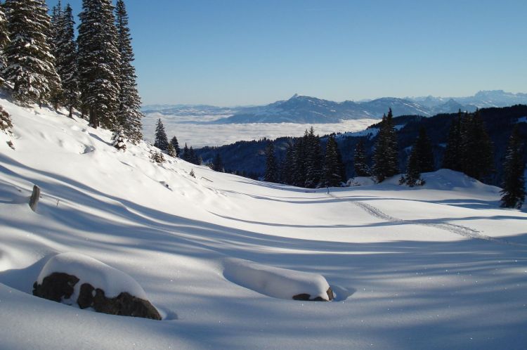 Eigenthal – im Aufstieg zum Rägeflüeli. Blick oberhalb der Alp Gumm zur Rigi.